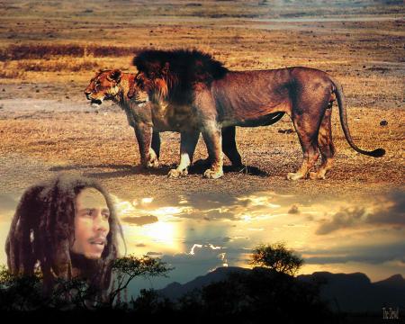 BOB MARLEY